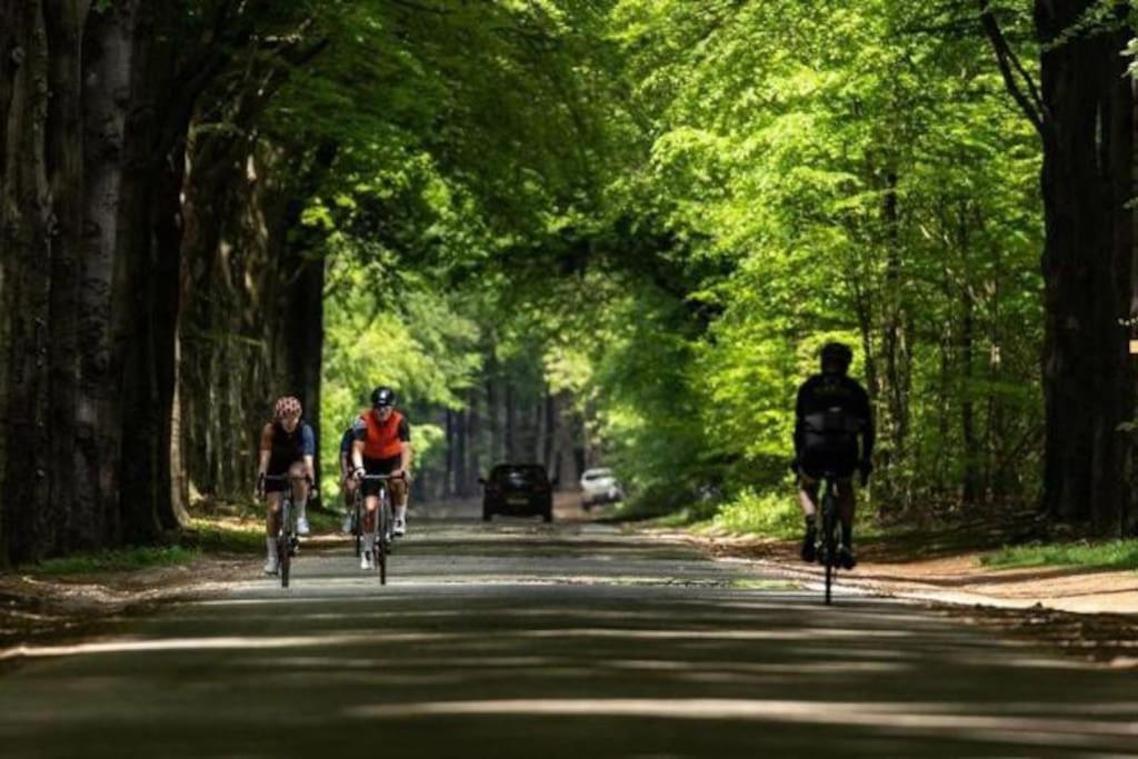 Chalet Voorzien Van Alle Gemakken In Een Bosrijke Omgeving Voorthuizen Exterior foto